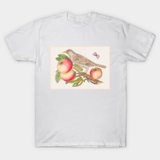 Brown Bird on Apple Branch with Caterpillar (18th Century) T-Shirt